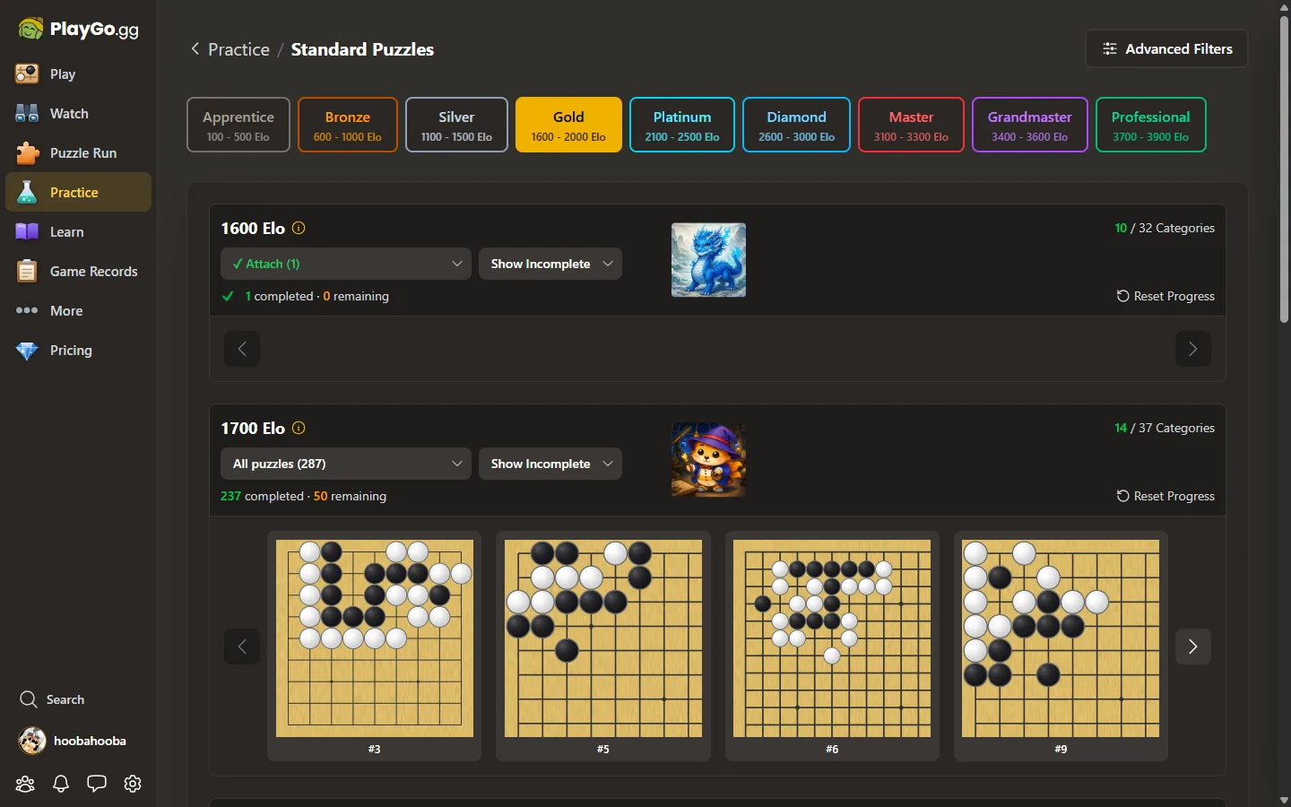 Puzzle tiers