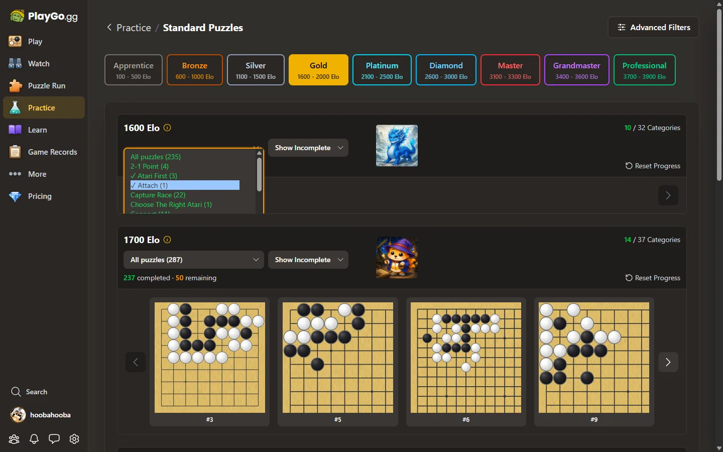 Puzzle categories