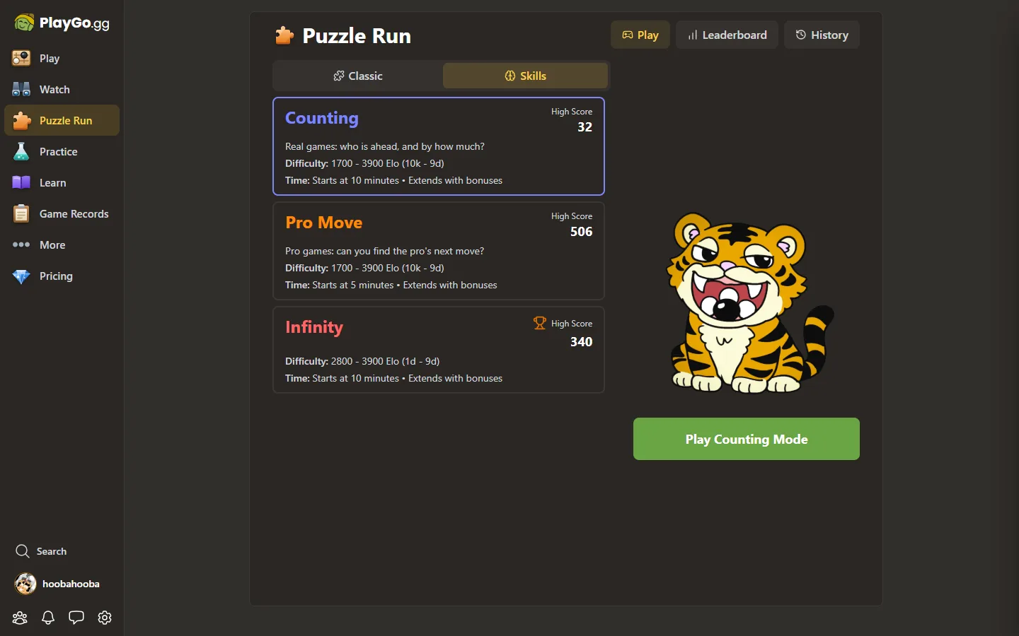 Puzzle Run